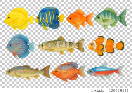 Png colorful tropical fish collection with various species isolated on transparent background. concept of marine life illustration, underwater elements, vibrant aquatic animals clip art. Watercolor 126629151