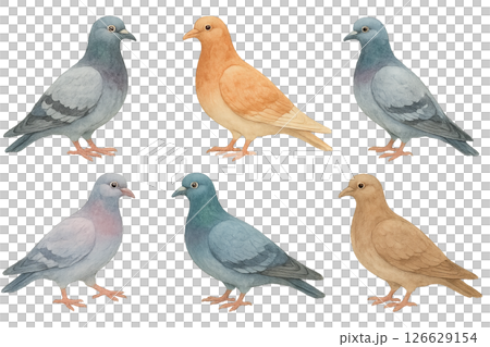 Png set of colorful pigeons in watercolor style isolated on transparent background. concept of bird illustrations, artistic avian designs, nature-inspired decorative elements. 126629154