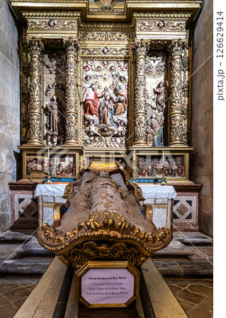 Interior of the New Cathedral 126629414