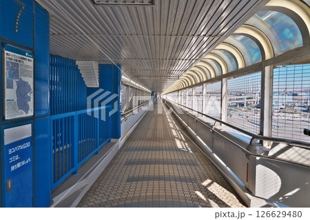 冬横浜港 ベイブリッジスカイウォーク 126629480