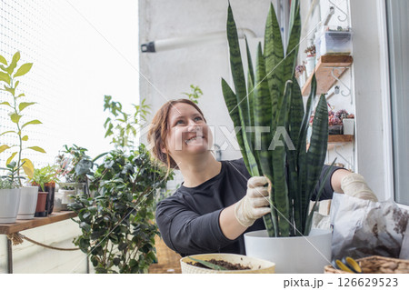 Real mid adult woman holding green houseplant in her hand standing indoor 126629523
