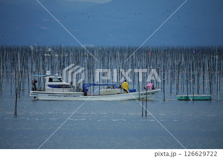 大牟田市　有明海　海苔畑、 126629722