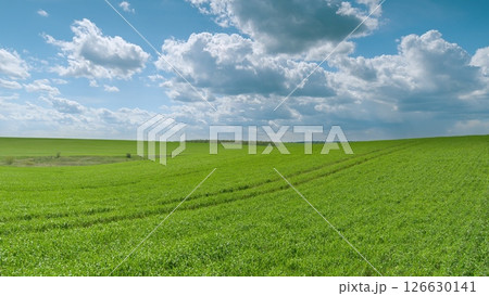 Expansive and Vast Green Fields Spreading Under a Brilliant Blue Sky Filled with Fluffy Clouds Time lapse. 126630141