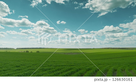 A Lush Green Field Underneath a Bright Blue Sky and Spectacularly Beautiful Clouds Time lapse. A Lush Green Field Underneath a Bright Blue Sky and Spectacularly Beautiful Clouds Time lapse. 126630161