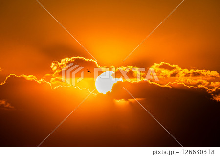 雲間から昇る朝日と飛翔する鳥のシルエット 126630318