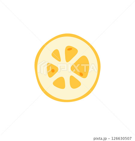 Lemon Slice Top View Illustration 126630507