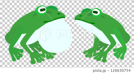 カエルのイラスト 126630754
