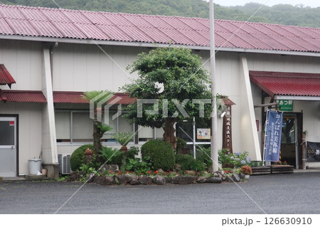 厚保駅前の植木 厚保駅前の植木 126630910