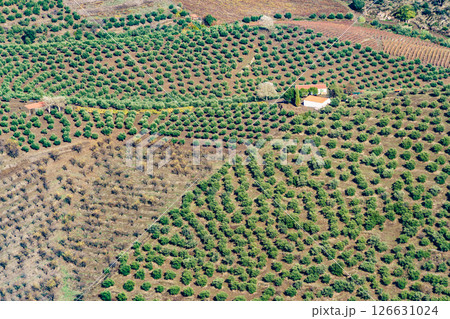 Farm on hill 126631024