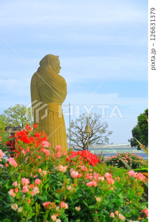 横浜山下公園 未来のバラ園 横浜山下公園 未来のバラ園 126631379