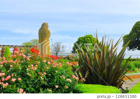 横浜山下公園　未来のバラ園 126631380