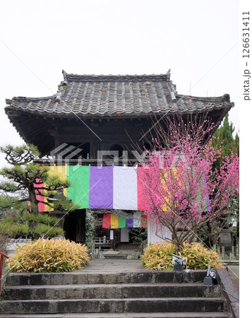 春の金剛乗寺（熊本県山鹿市） 126631411