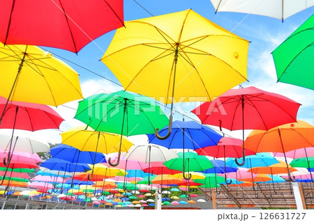 鹿沼市花木センター アンブレラフラワー 126631727