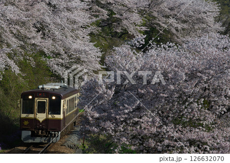 わたらせ渓谷鉄道 126632070