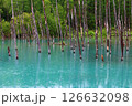 蒼い湖 126632098