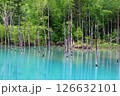 蒼い湖 126632101