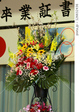 卒業式イメージ　卒業式　小学校　中学校　高等学校 126632436