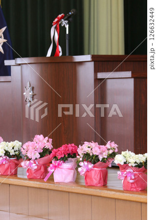 卒業式イメージ 卒業式 小学校 中学校 高等学校 卒業式イメージ 卒業式 小学校 中学校 高等学校 126632449