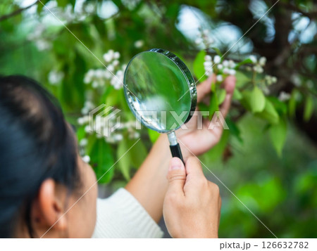 Female ecologist studies living things in a forest with a magnifying glass. Female environmental scientist holds a magnifying glass to examine plants. Loves nature. 126632782