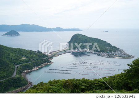 栢島 126632945