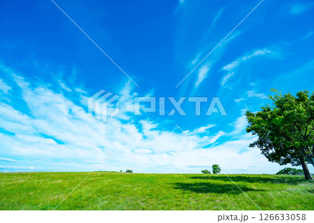 青空と草原 126633058