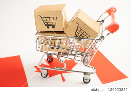 Canada shopping, Shopping cart box on Venezuala flag, import export, finance commerce. 126633285