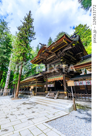 初夏の諏訪大社 下社 春宮 長野県諏訪郡 初夏の諏訪大社 下社 春宮 長野県諏訪郡 126633772