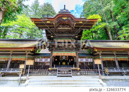 初夏の諏訪大社 下社 春宮　長野県諏訪郡 126633774