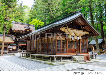 初夏の諏訪大社 下社 春宮 長野県諏訪郡 初夏の諏訪大社 下社 春宮 長野県諏訪郡 126633789