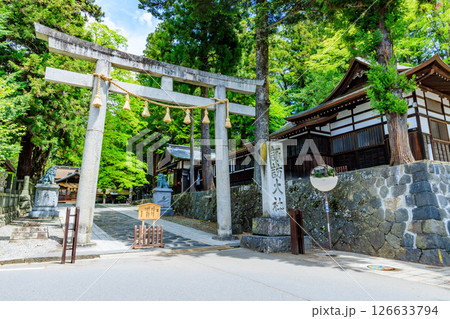 初夏の諏訪大社 下社 春宮　長野県諏訪郡 126633794