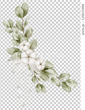 Watercolor composition with soft Cotton pods, Eucalyptus branches, and white ribbon. Botanical drawing for greeting card corners, baby shower decor and wedding invitations. Floral art. 126633966