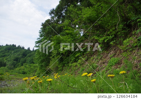 越後妻有の世界 126634184