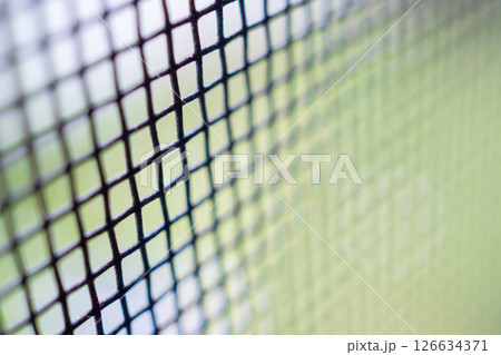 mosquito net wire screen on house window protection against insect 126634371