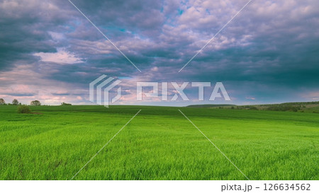 An Expansive Green Field Sprawls Beneath a Dramatic and Overcast Cloudy Sky Above It Time lapse. 126634562
