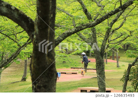 新緑の公園を管理する人 126635493