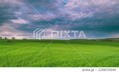 A Beautiful and Vibrant Green Field Stretching Out Beneath Dramatic and Stunning Clouds Time lapse. 126635640