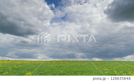 A Beautiful Scenic Cloudy Sky Over Lush Green Fields Filled with Colorful Wildflowers Time lapse. 126635648