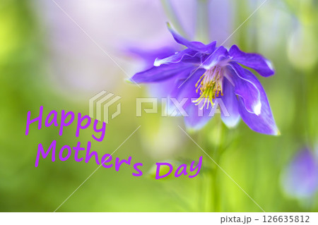 Vibrant mother's day floral greeting. Card with delicate purple flower 126635812