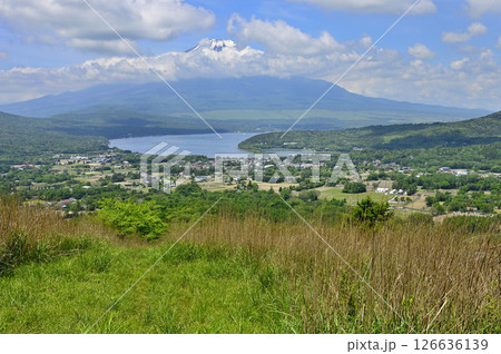 丹沢山地の甲相国境尾根　高指山山頂より眺める富士山と山中湖 126636139