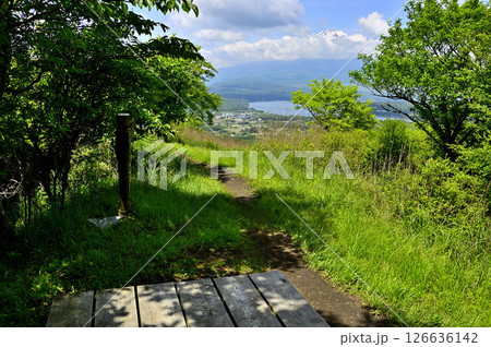 丹沢山地の甲相国境尾根 夏の高指山山頂より望む雲間の富士山 丹沢山地の甲相国境尾根 夏の高指山山頂より望む雲間の富士山 126636142