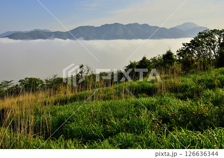丹沢の鉄砲木ノ頭（明神山）より　雲海に浮かぶ道志山塊の山並 126636344