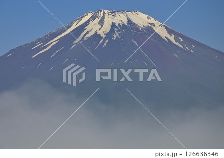 丹沢の鉄砲木ノ頭（明神山）より　晴れ行く朝霧に現れる夏富士 126636346