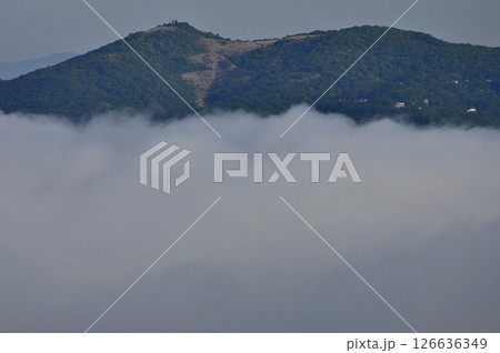 丹沢の鉄砲木ノ頭（明神山）より　雲海に浮かぶ道志山塊の大平山 126636349