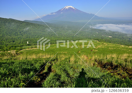 丹沢の鉄砲木ノ頭（明神山）より　初夏の富士山を眺める 126636359