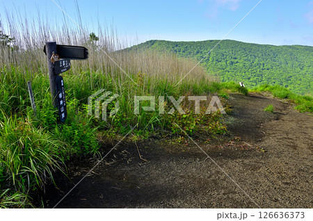 丹沢の鉄砲木ノ頭（明神山）山頂より三国山を望む 126636373
