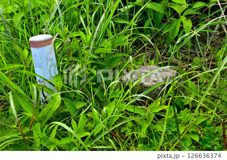 丹沢の鉄砲木ノ頭（明神山）山頂の三角点　三等三角点（中野村（二）） 126636374