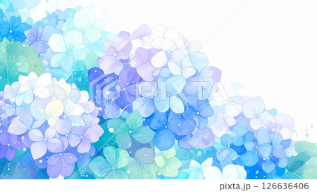 紫陽花 紫陽花 126636406