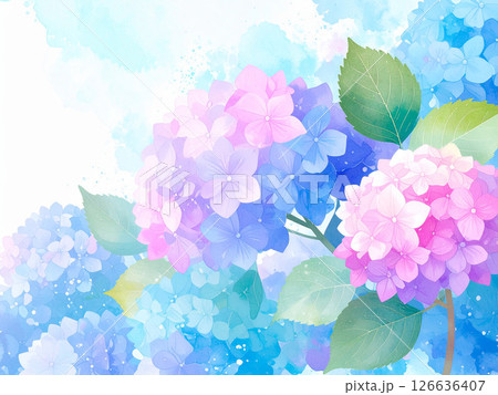 紫陽花 126636407