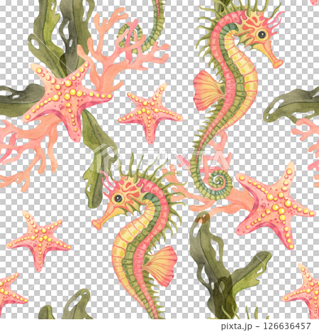 Curled seahorses and ocean stars among seaweed. This watercolor illustration seamless pattern is great for summery apparel, wrapping paper, wallpaper, or ocean-themed packaging Curled seahorses and ocean stars among seaweed. This watercolor illustration seamless pattern is great for summery apparel, wrapping paper, wallpaper, or ocean-themed packaging 126636457