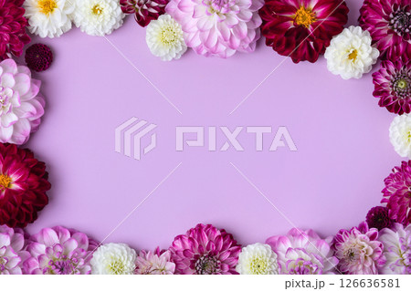 Abstract background for text made of flowers dahlia flowers. Romantic background. Flat lay. Nature concept 126636581